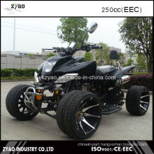 Adult ATV EEC Legal on Street Hot Sale